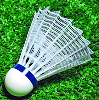 Badminton Equipment