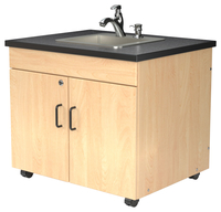 Portable Sinks